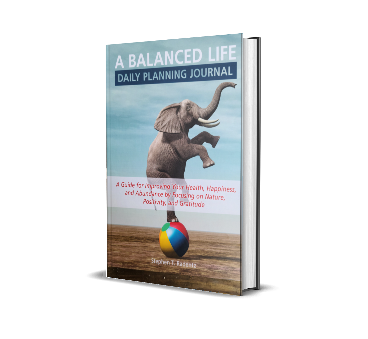 PDF DOWNLOAD ...  Balanced life daily planning journal